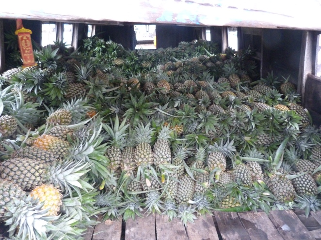 A boatload of pineapples
